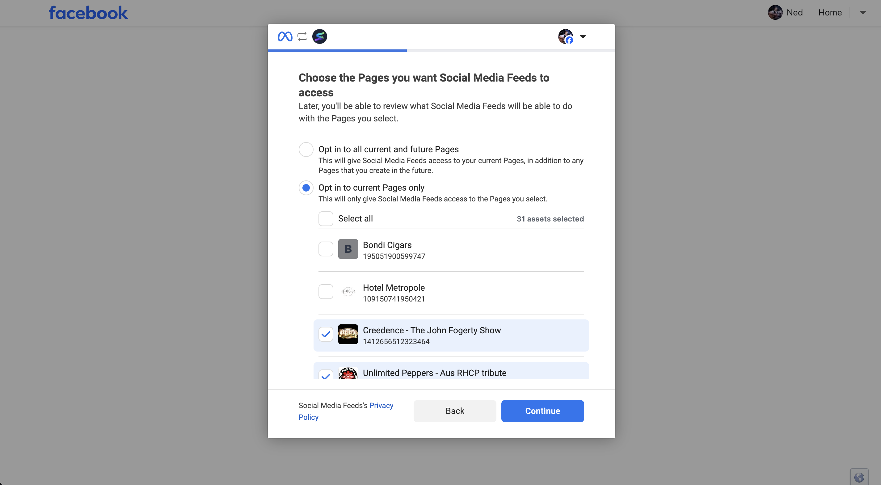 Meta page picker showing the Facebook Pages Social Media Feeds can access